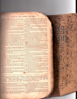 Family Bible and special chapters #2.jpg